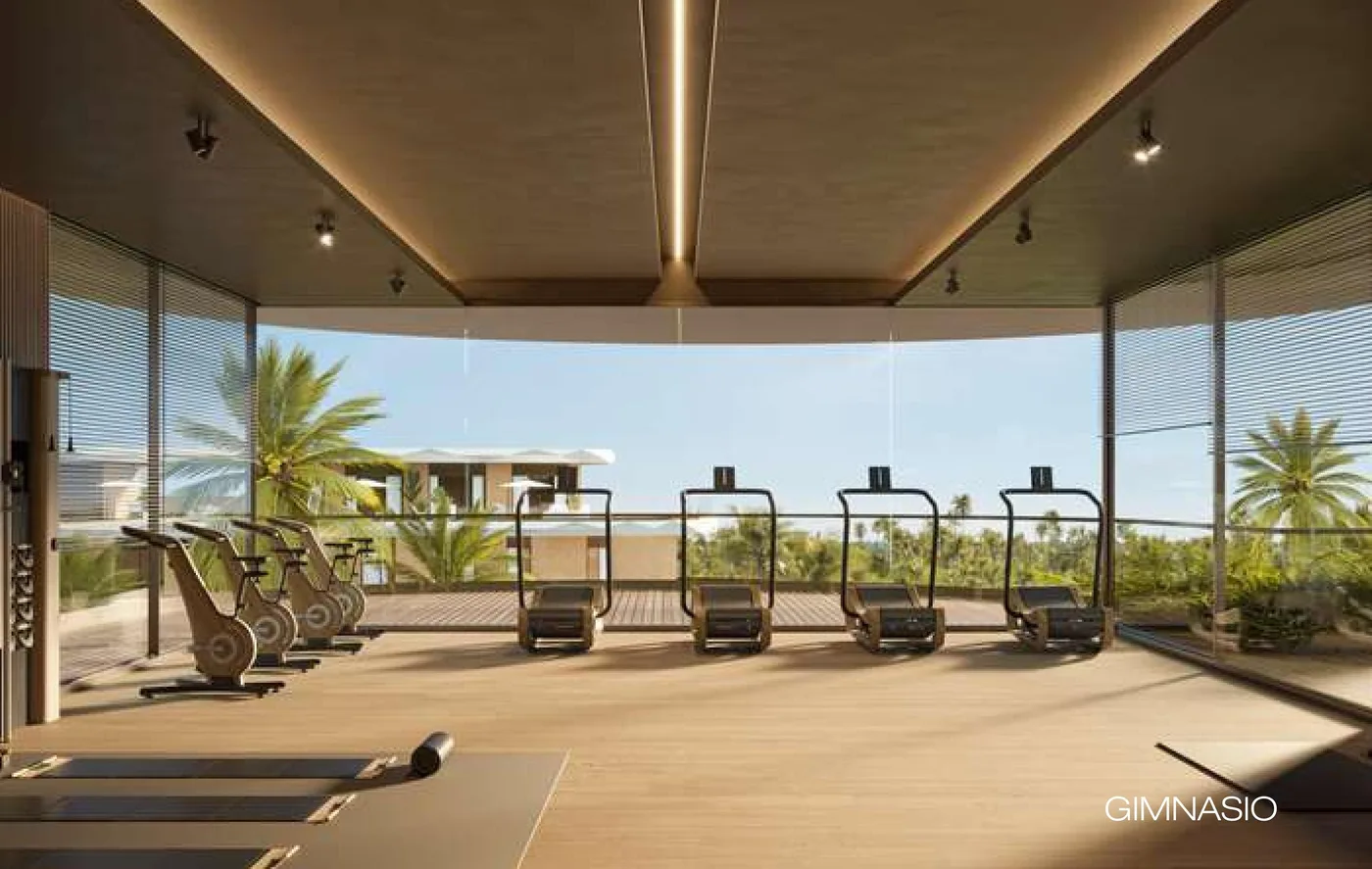 Gimnasio